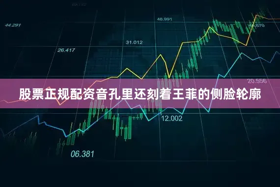 股票正规配资音孔里还刻着王菲的侧脸轮廓